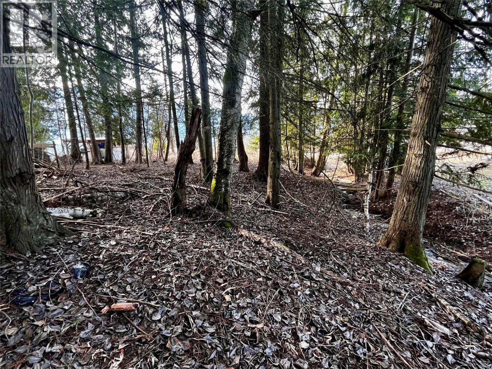 262 Glenacres Road, Nakusp, British Columbia  V0G 1R1 - Photo 10 - 10373761