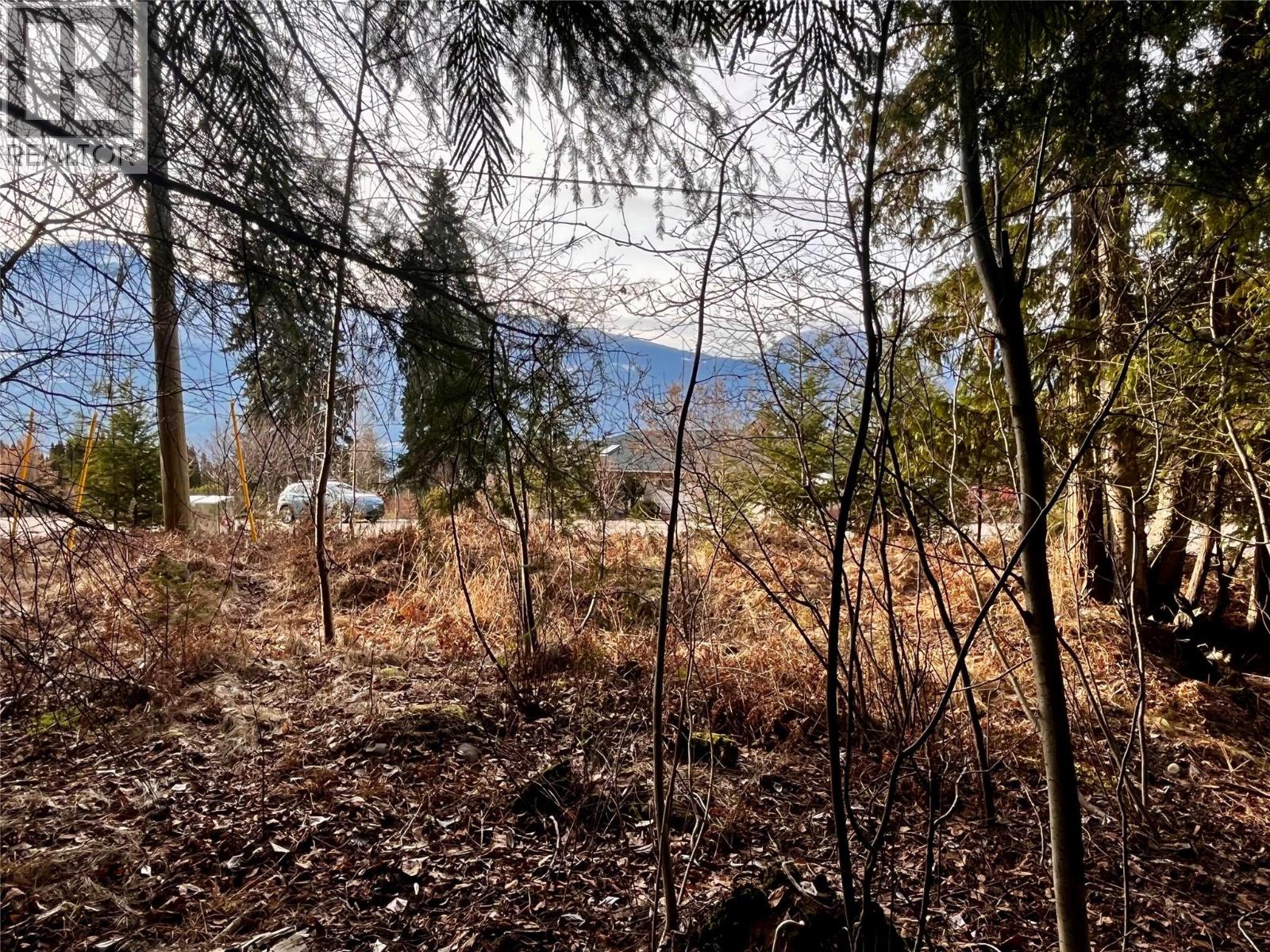 262 Glenacres Road, Nakusp, British Columbia  V0G 1R1 - Photo 9 - 10373761
