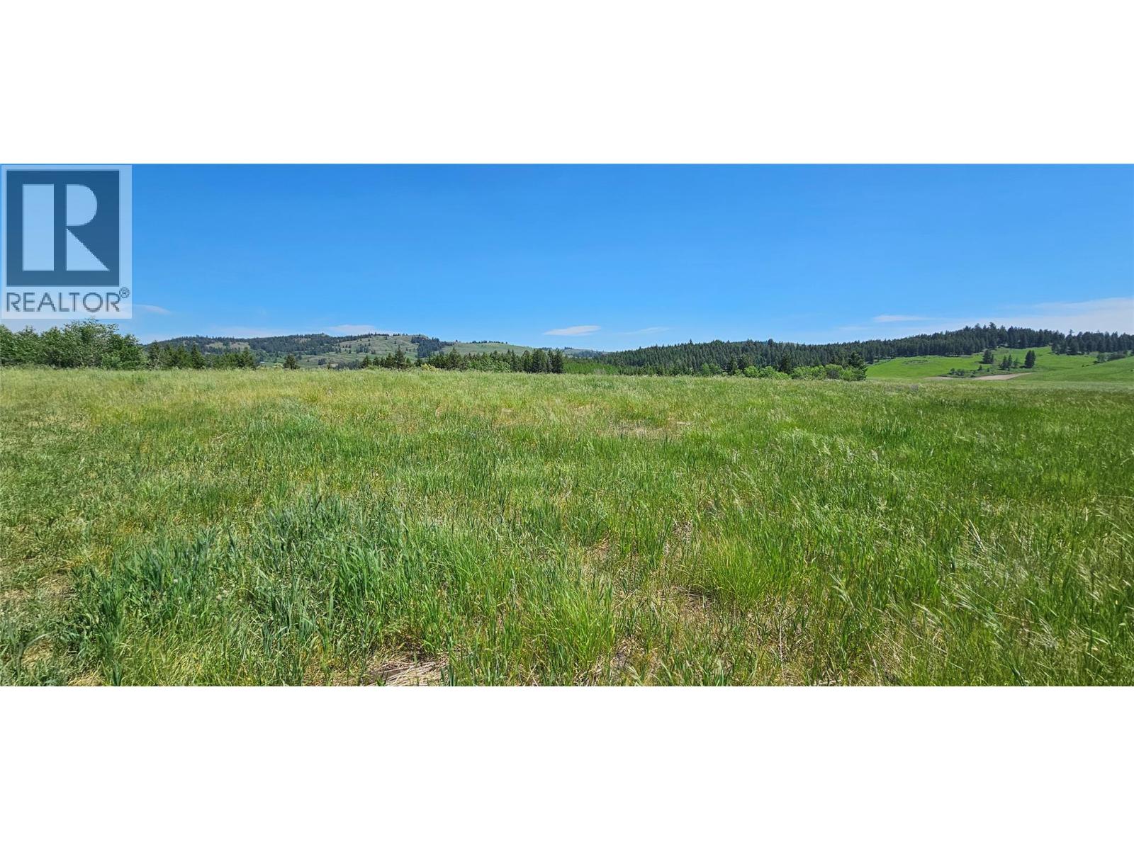 Plan 34365 Rock Creek Bridesville Road Lot# B, Bridesville, British Columbia  V0H 1Y0 - Photo 22 - 10373789