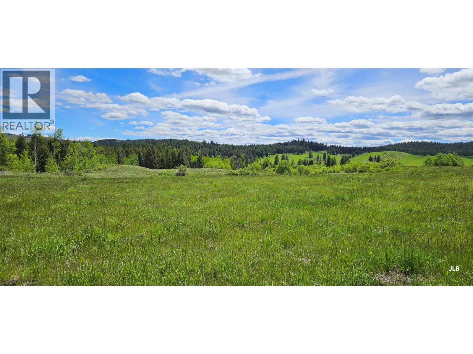 Plan 34365 Rock Creek Bridesville Road Lot# B, Bridesville, British Columbia  V0H 1Y0 - Photo 42 - 10373789