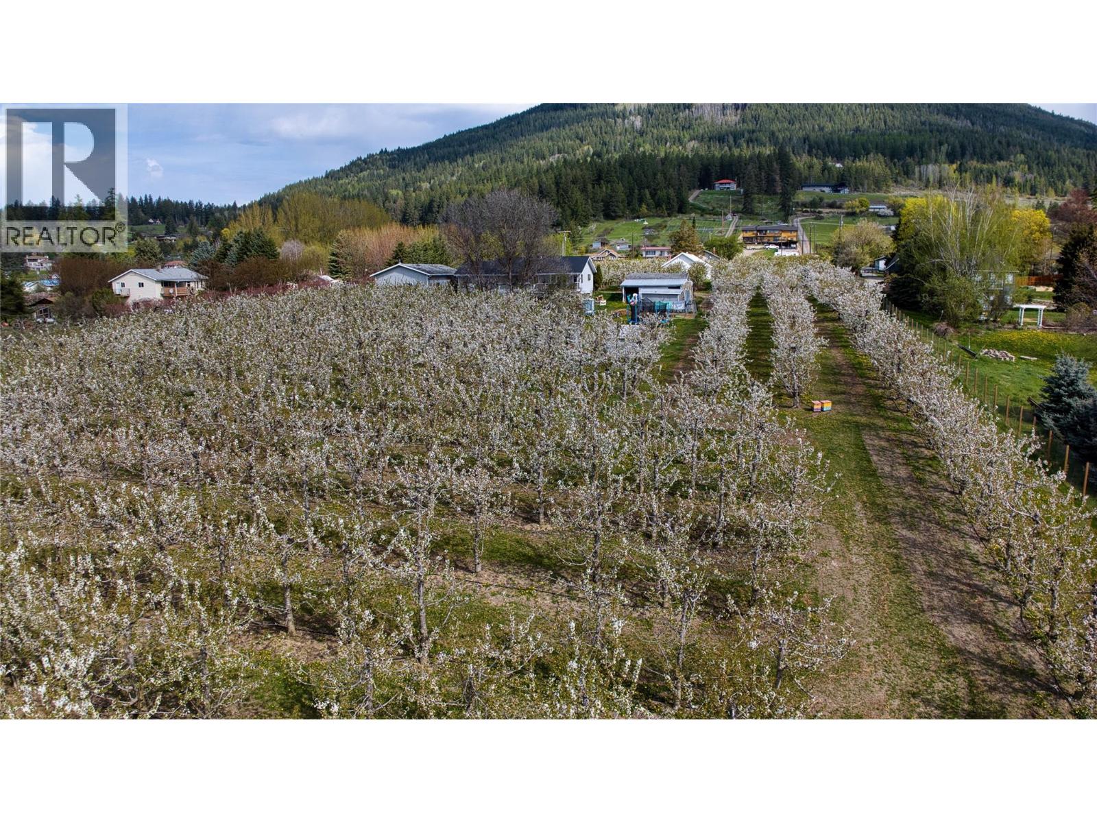 2813 3 Highway, Creston, British Columbia  V0B 1G1 - Photo 35 - 10372687