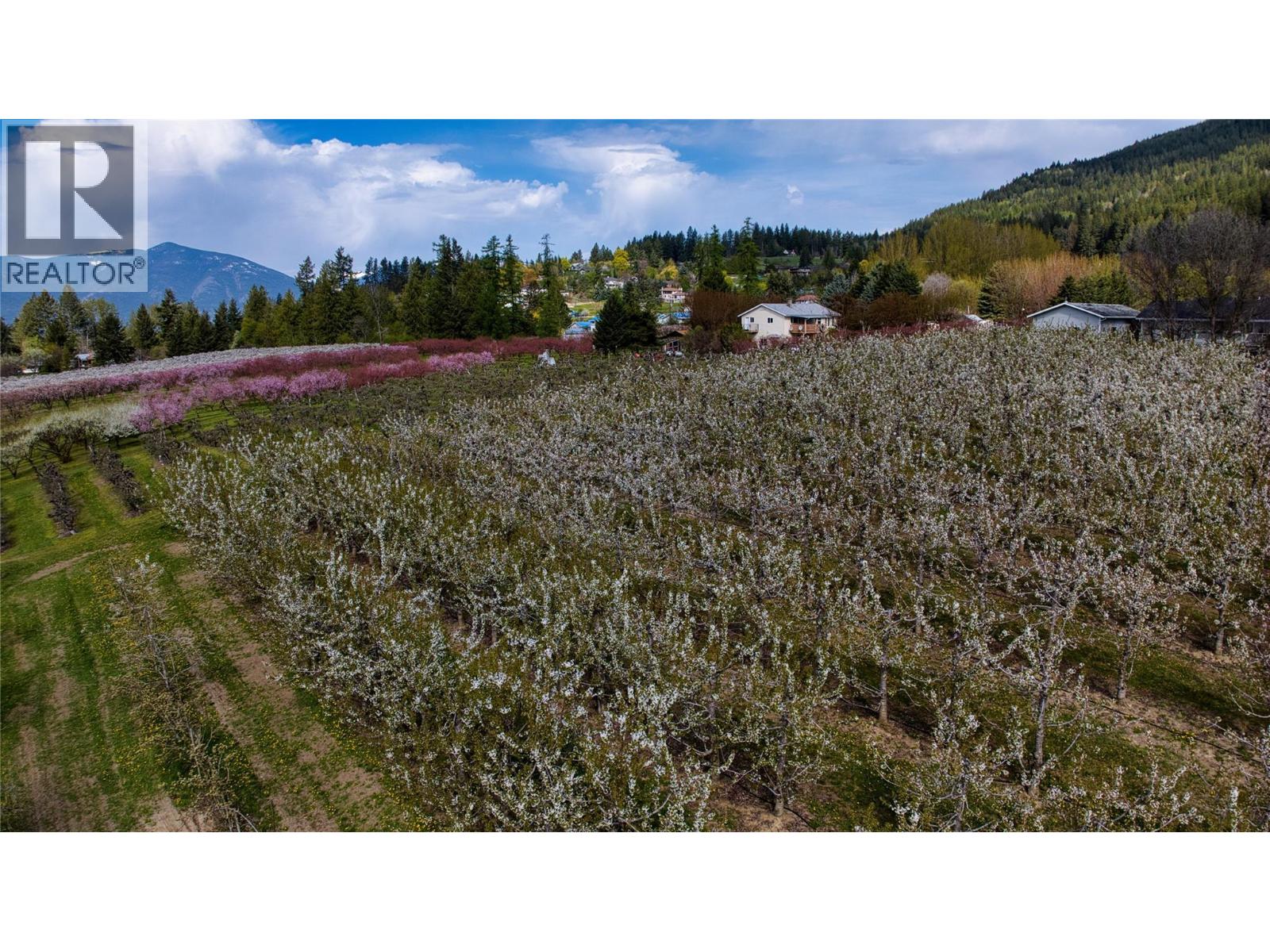 2813 3 Highway, Creston, British Columbia  V0B 1G1 - Photo 40 - 10372687