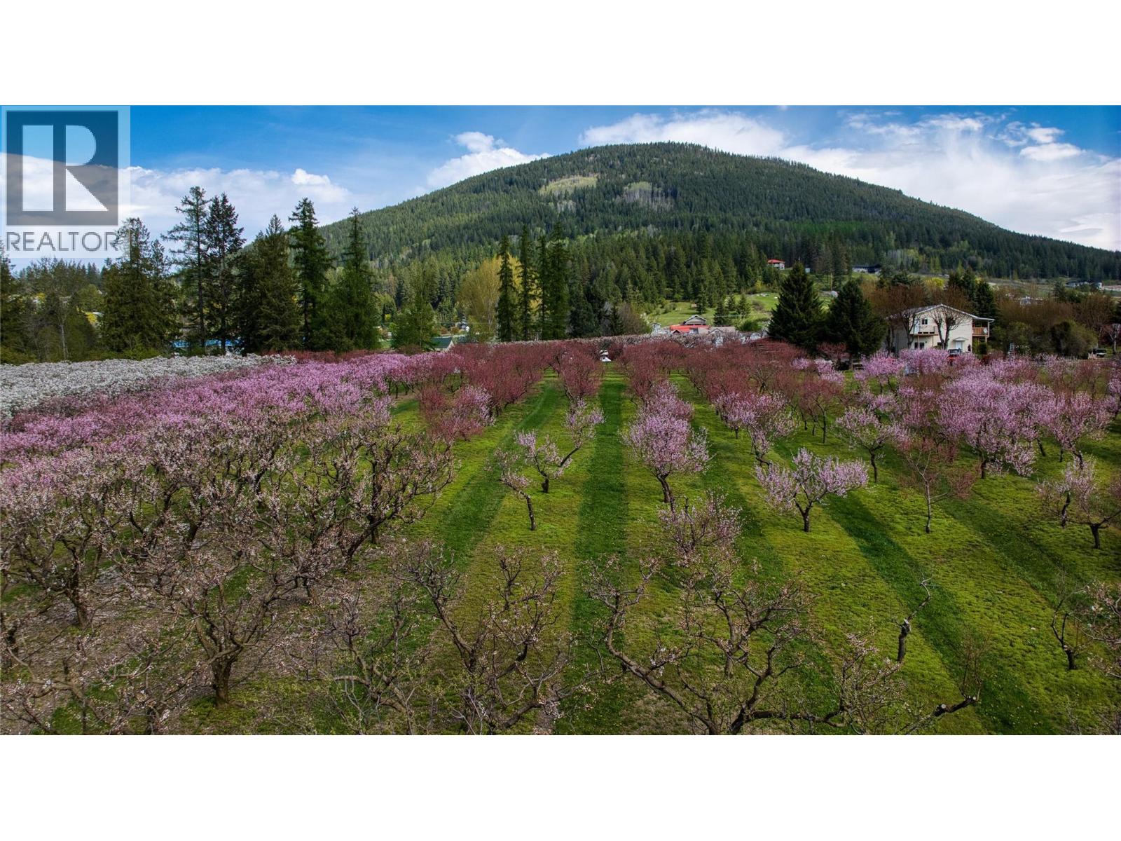 2813 3 Highway, Creston, British Columbia  V0B 1G1 - Photo 61 - 10372687