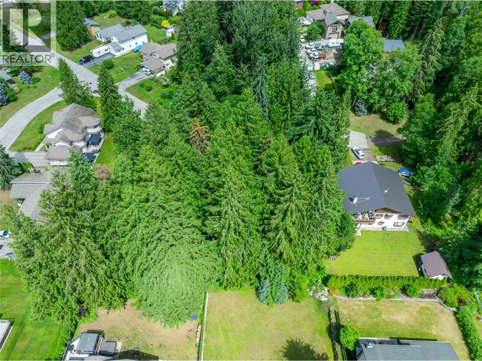 1565 Pratico Road, Revelstoke, British Columbia  v0e 2s1 - Photo 10 - 10373765