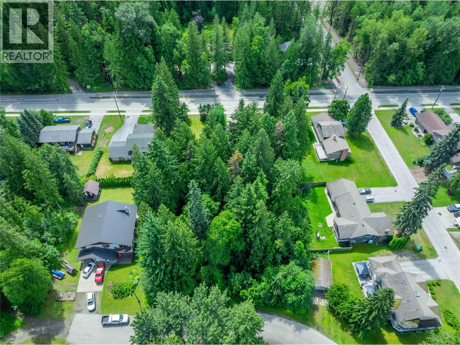 1565 Pratico Road, Revelstoke, British Columbia  v0e 2s1 - Photo 13 - 10373765
