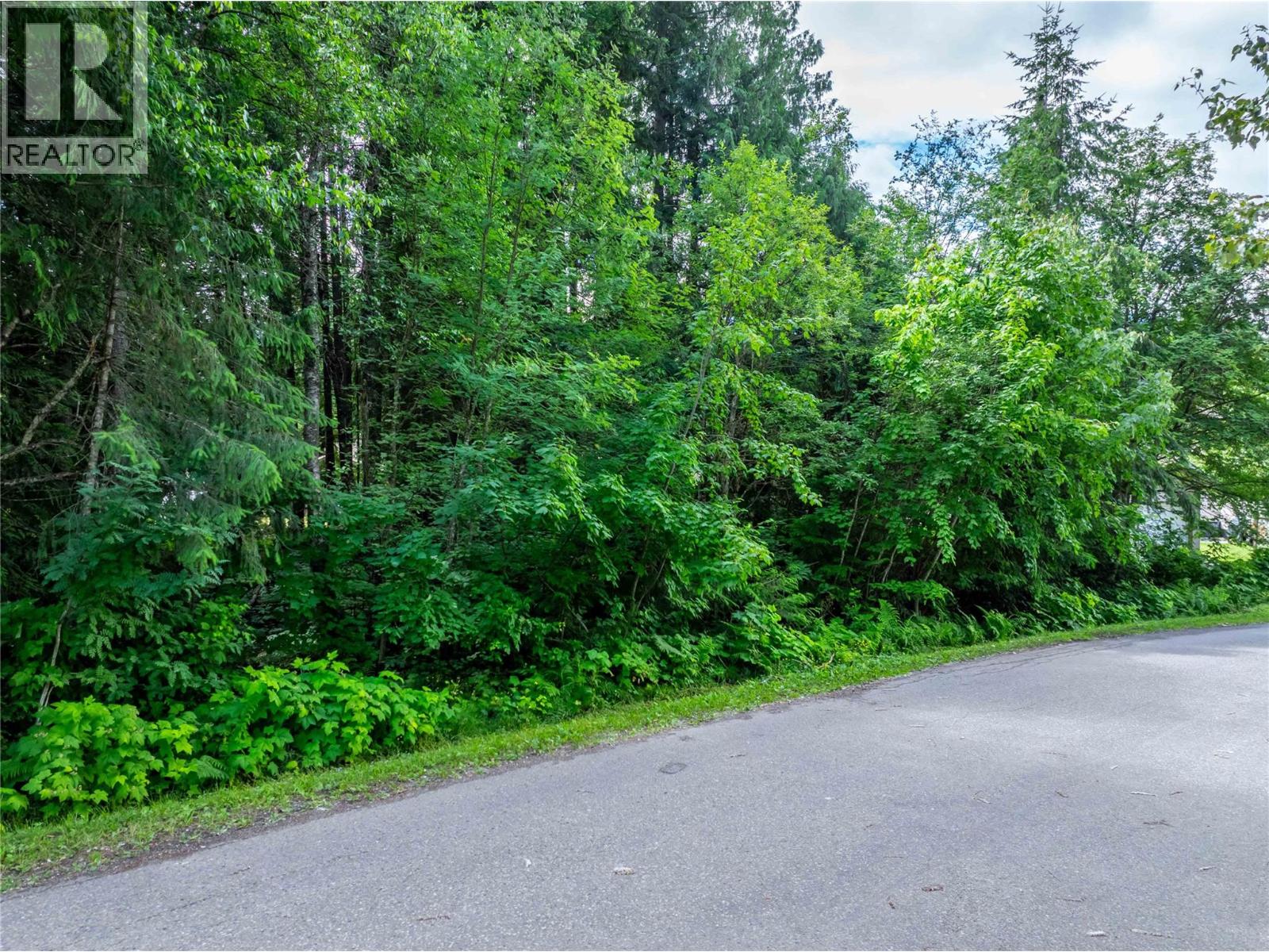 1565 Pratico Road, Revelstoke, British Columbia  v0e 2s1 - Photo 2 - 10373765