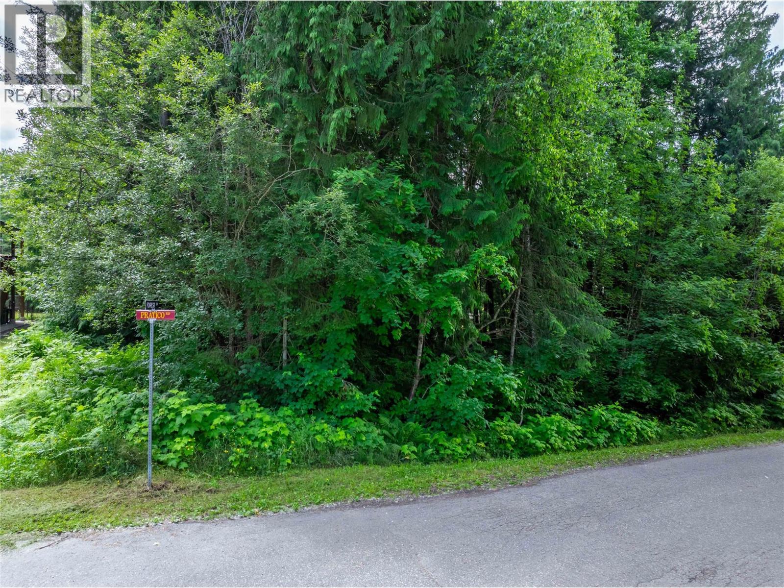 1565 Pratico Road, Revelstoke, British Columbia  v0e 2s1 - Photo 5 - 10373765