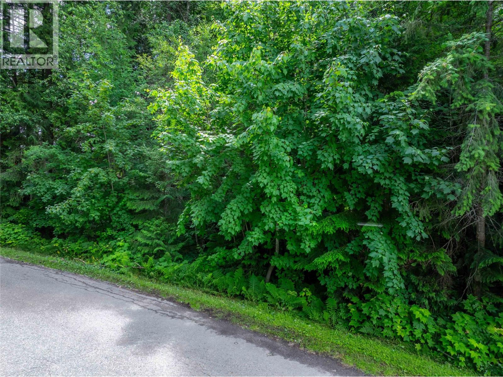 1565 Pratico Road, Revelstoke, British Columbia  v0e 2s1 - Photo 6 - 10373765