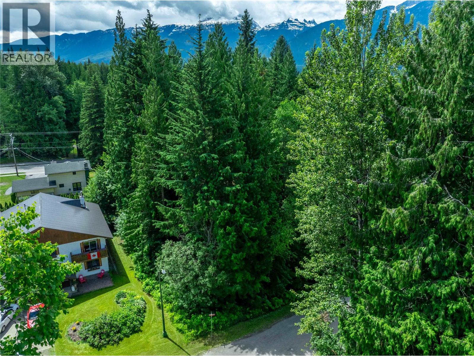 1565 Pratico Road, Revelstoke, British Columbia  v0e 2s1 - Photo 8 - 10373765