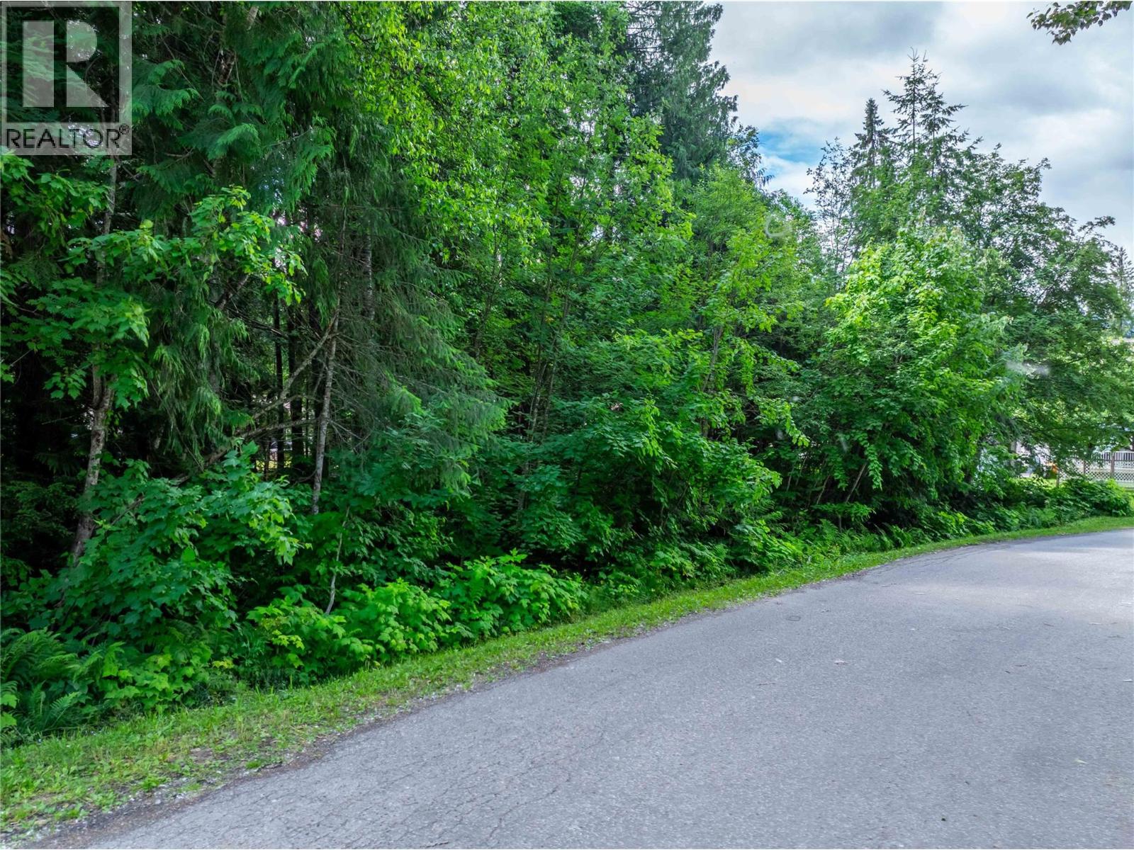 1571 Pratico Road, Revelstoke, British Columbia  V0E 2S1 - Photo 12 - 10373763