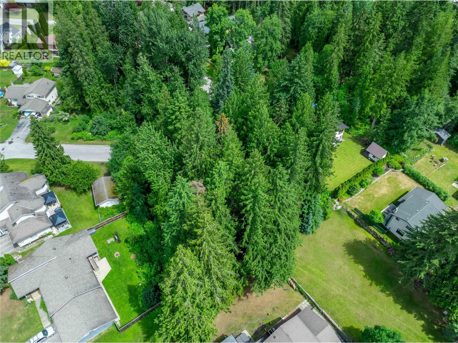 1571 Pratico Road, Revelstoke, British Columbia  V0E 2S1 - Photo 15 - 10373763