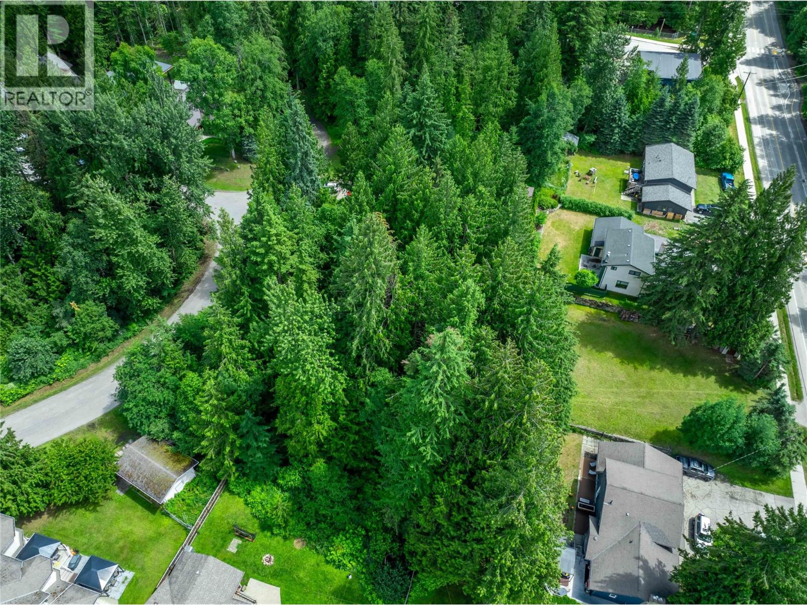 1571 Pratico Road, Revelstoke, British Columbia  V0E 2S1 - Photo 4 - 10373763
