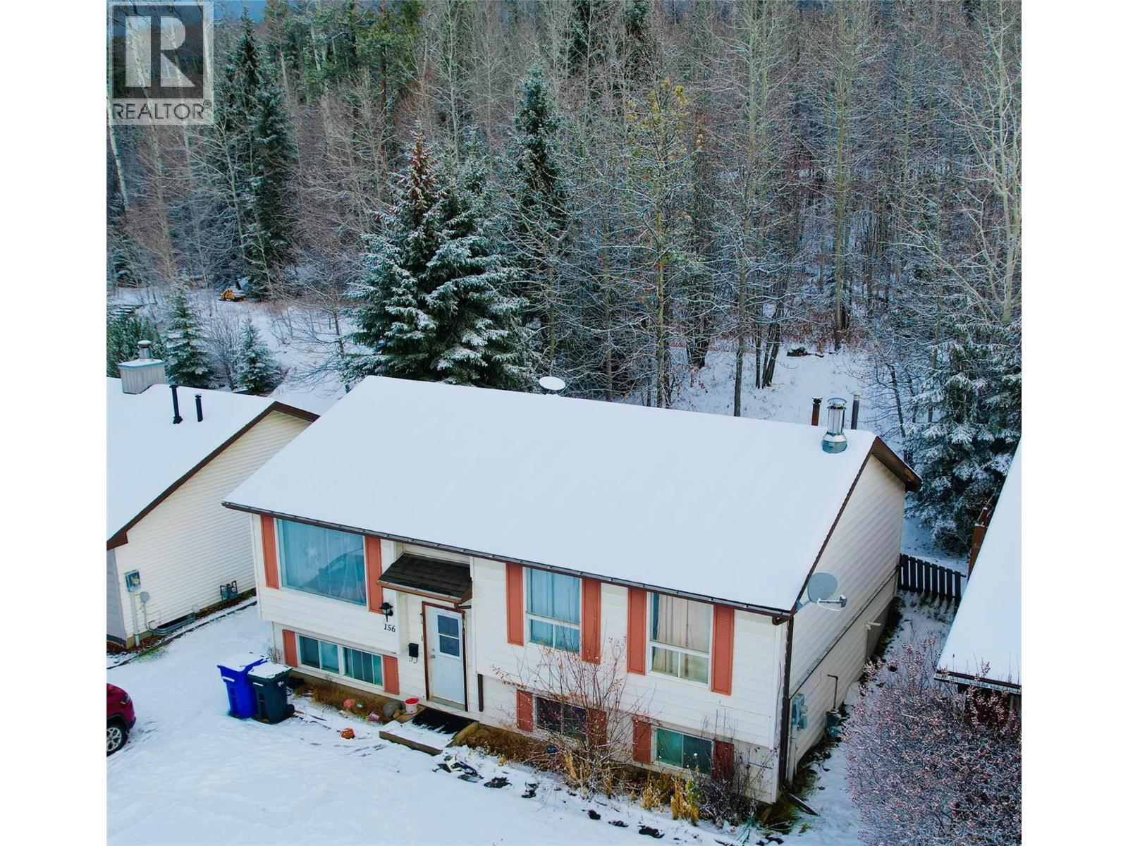 156 Gwillim Crescent, Tumbler Ridge, British Columbia  V0C 2W0 - Photo 18 - 10374115