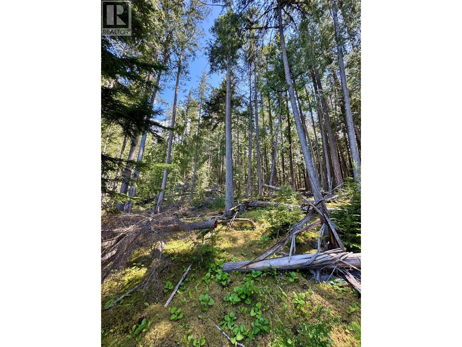 Lot 4 Pete Martin Bay, Sicamous, British Columbia  V0E 2V0 - Photo 58 - 10373468