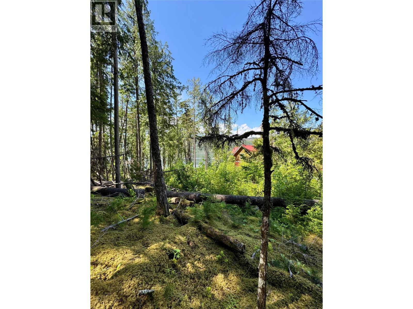 Lot 4 Pete Martin Bay, Sicamous, British Columbia  V0E 2V0 - Photo 59 - 10373468