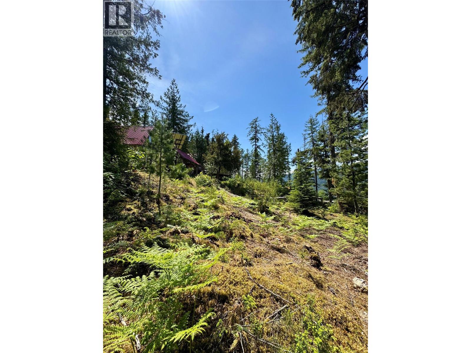 Lot 4 Pete Martin Bay, Sicamous, British Columbia  V0E 2V0 - Photo 62 - 10373468