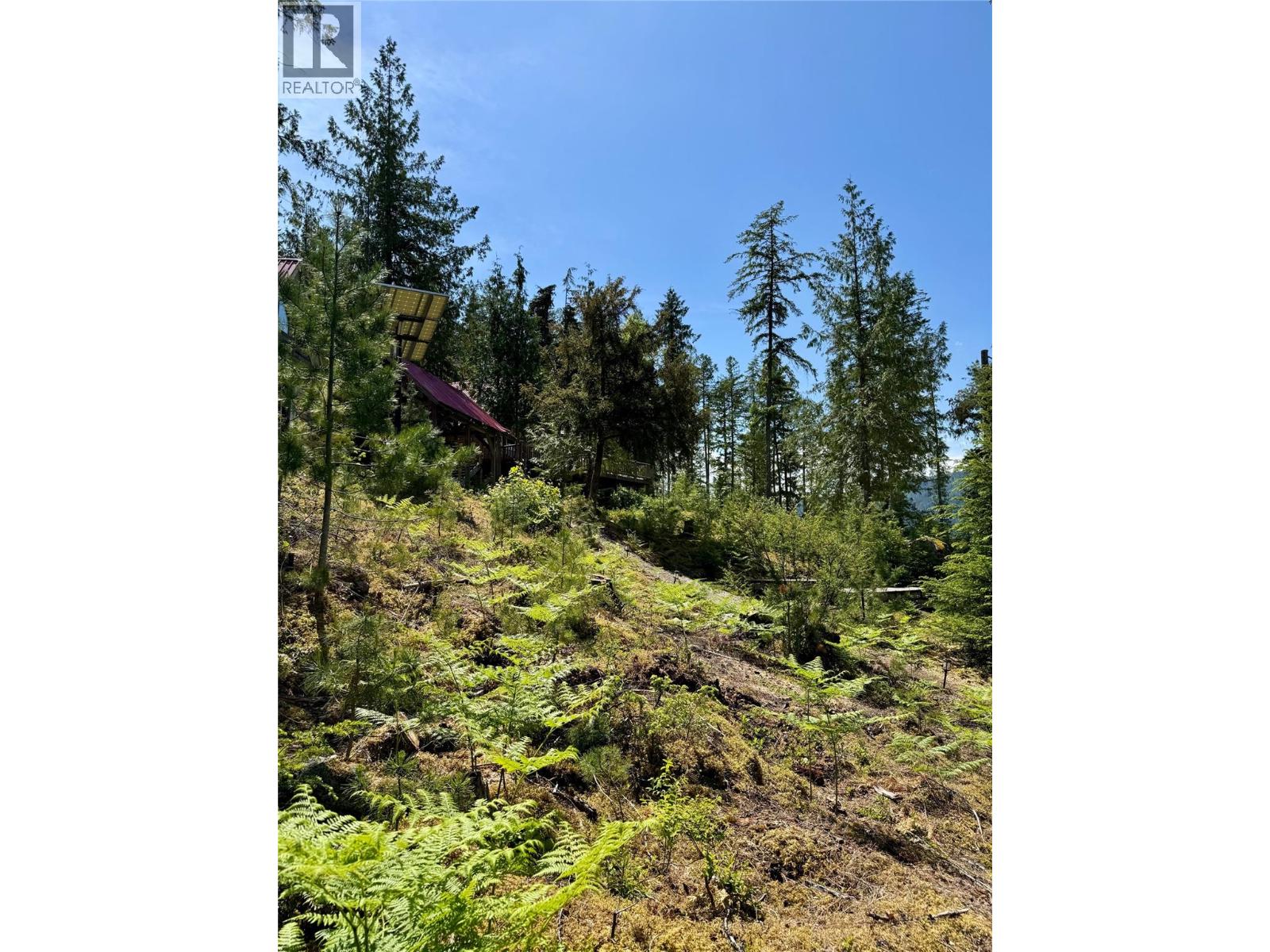 Lot 4 Pete Martin Bay, Sicamous, British Columbia  V0E 2V0 - Photo 63 - 10373468
