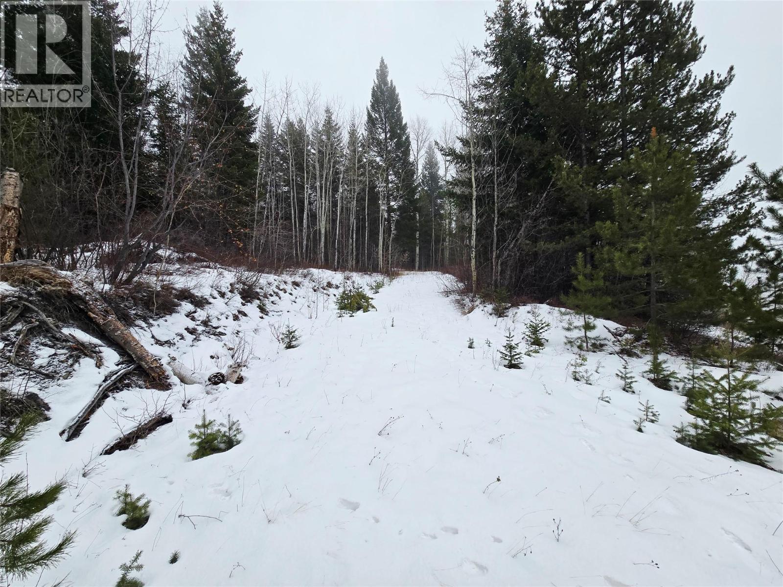 2780 Silver Birch Lane, Pritchard, British Columbia  V0E 0A1 - Photo 3 - 10374279