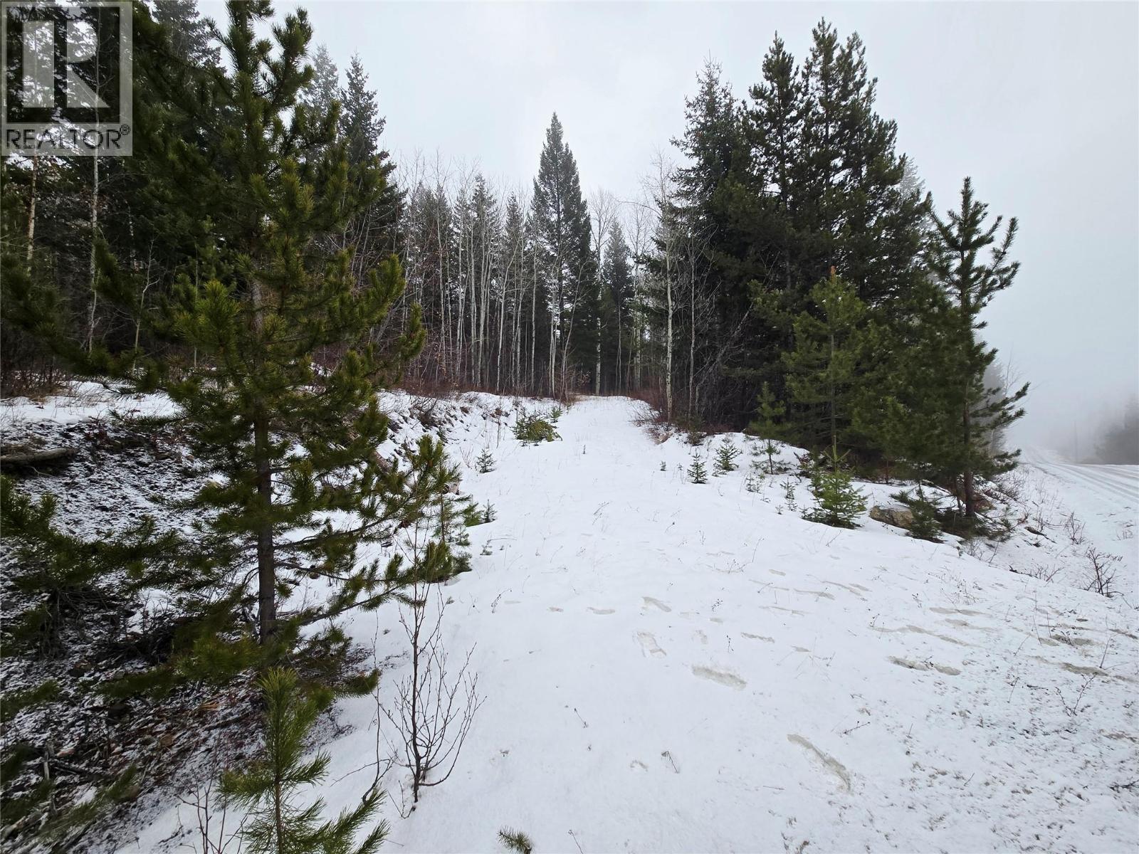 2780 Silver Birch Lane, Pritchard, British Columbia  V0E 0A1 - Photo 5 - 10374279