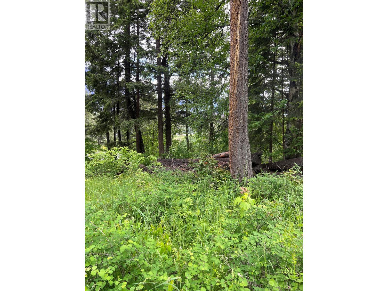 2481 Squilax Anglemont Road Lot# 23, Lee Creek, British Columbia  V0E 1M0 - Photo 26 - 10374239