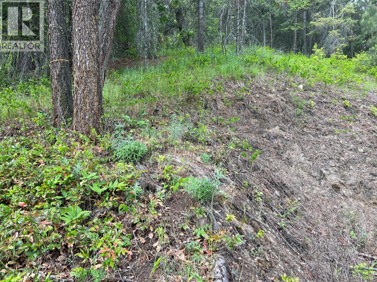 2481 Squilax Anglemont Road Lot# 23, Lee Creek, British Columbia  V0E 1M0 - Photo 28 - 10374239