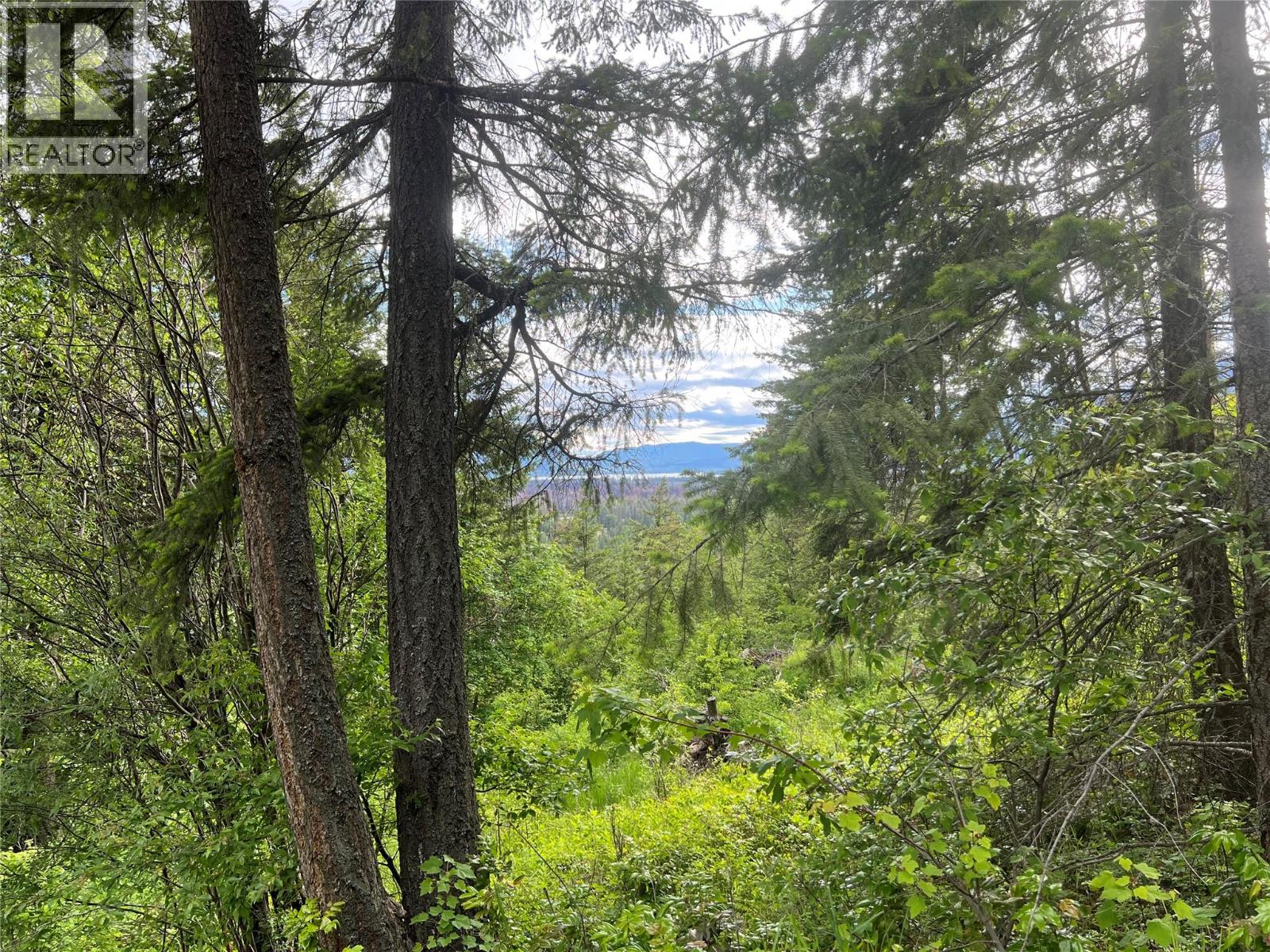 2481 Squilax Anglemont Road Lot# 23, Lee Creek, British Columbia  V0E 1M0 - Photo 29 - 10374239