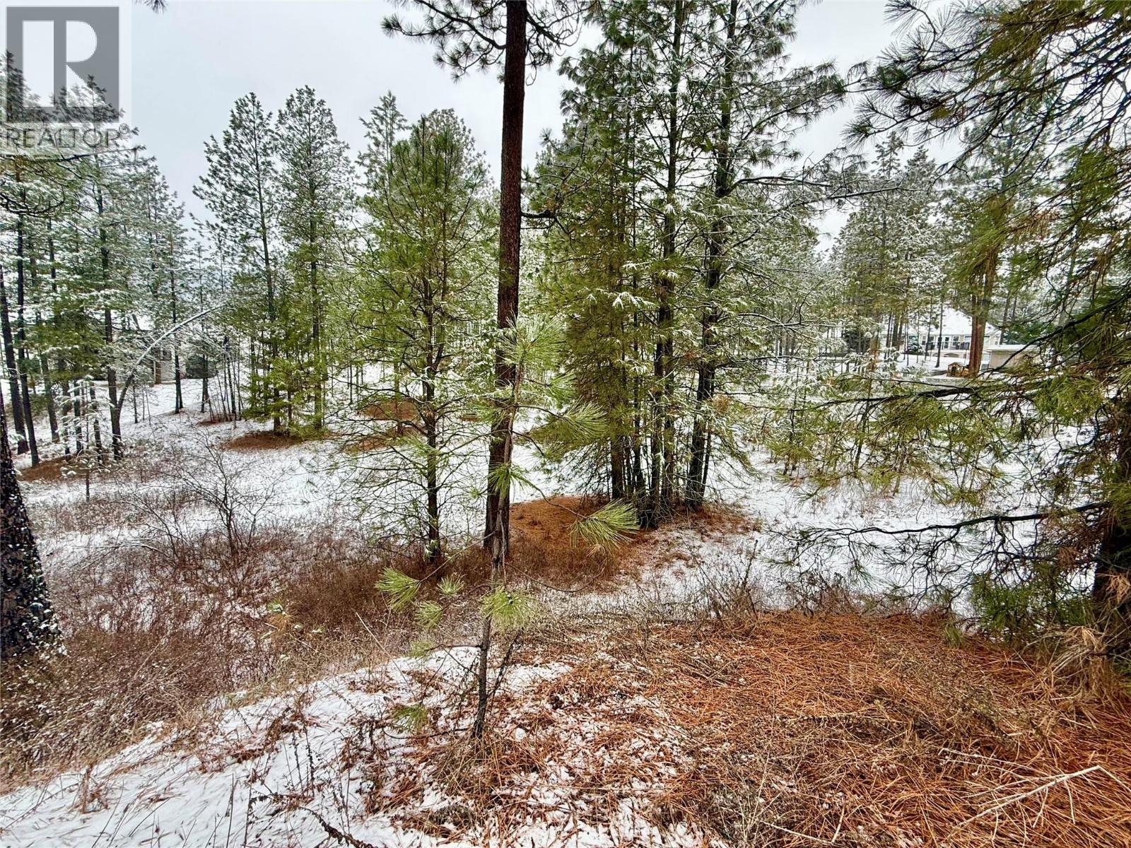 Lot 11 Prospect Drive, Grand Forks, British Columbia  V0H 1H2 - Photo 10 - 10374361