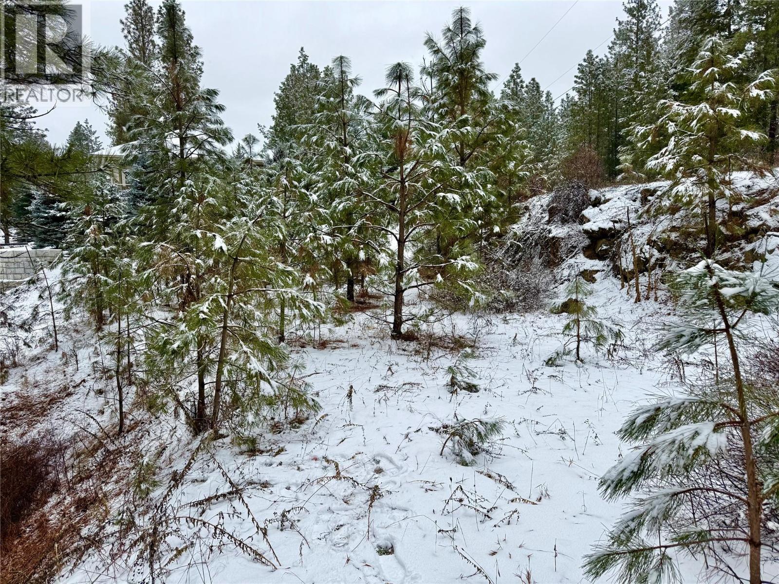 Lot 11 Prospect Drive, Grand Forks, British Columbia  V0H 1H2 - Photo 11 - 10374361