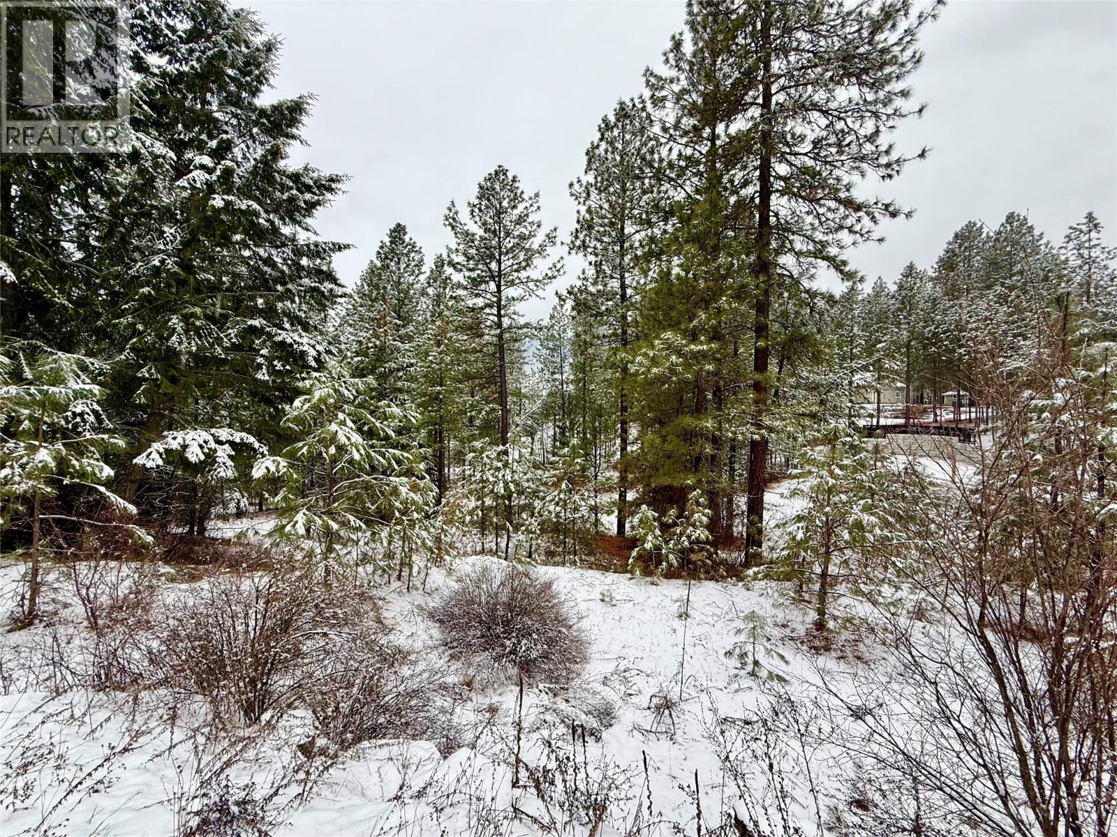 Lot 11 Prospect Drive, Grand Forks, British Columbia  V0H 1H2 - Photo 12 - 10374361