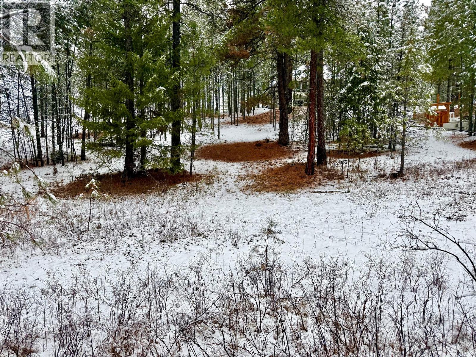 Lot 11 Prospect Drive, Grand Forks, British Columbia  V0H 1H2 - Photo 5 - 10374361