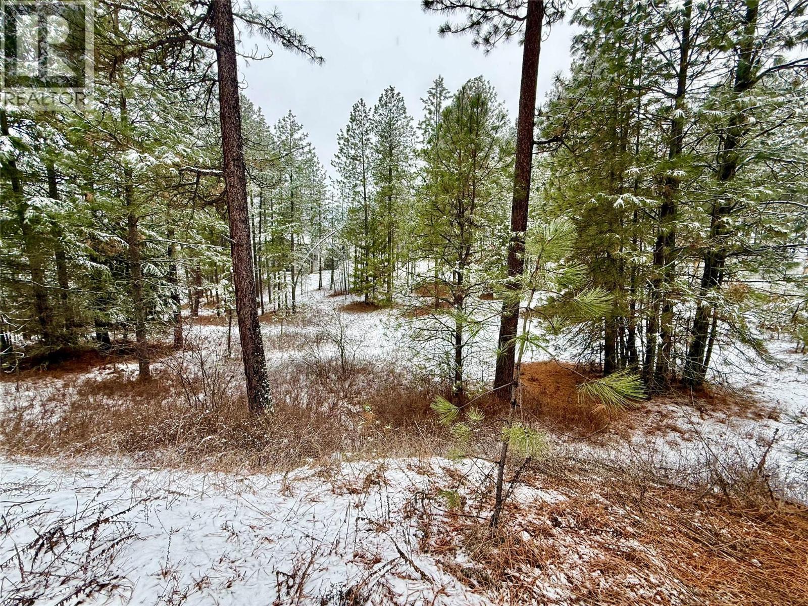 Lot 11 Prospect Drive, Grand Forks, British Columbia  V0H 1H2 - Photo 9 - 10374361