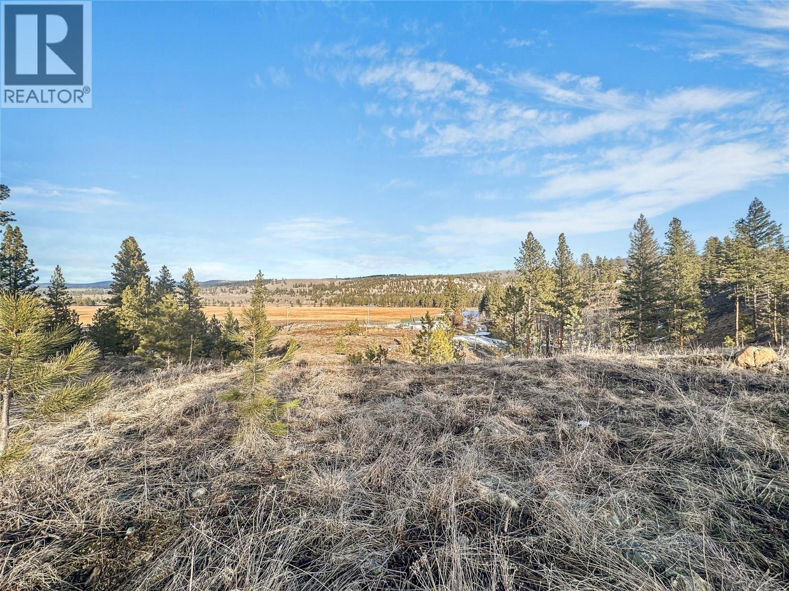 324 Sunflower Estates Road, Princeton, British Columbia  V0X 1W0 - Photo 16 - 10374524