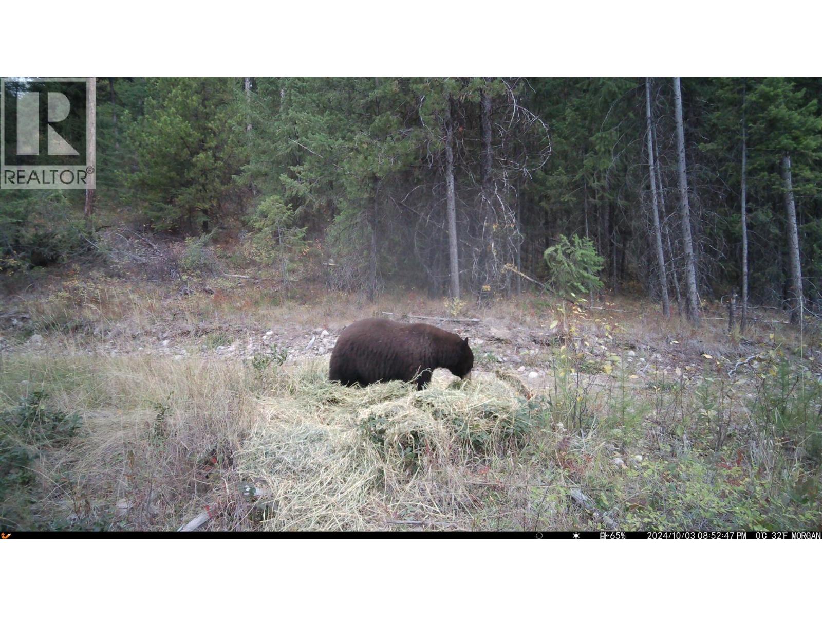 8595 Christian Valley Road, Westbridge, British Columbia  V0H 1Y0 - Photo 17 - 10374470