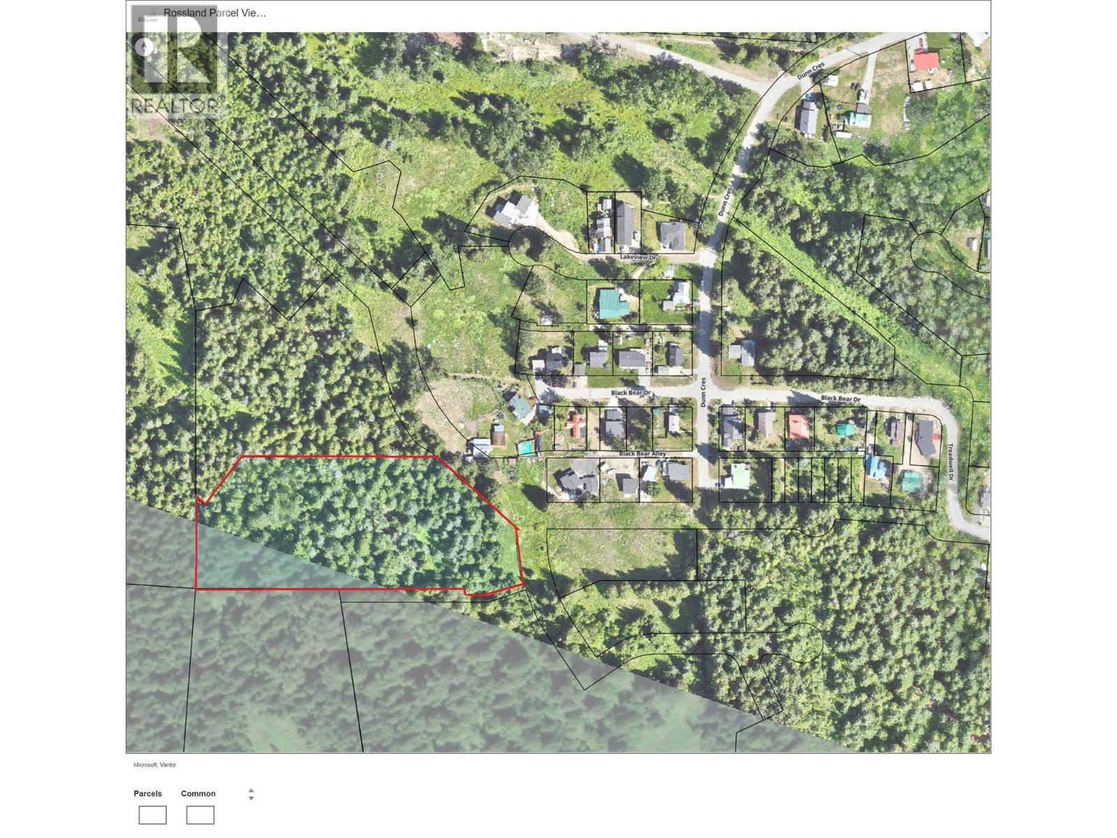 Deer Park Drive Lot# 21, Rossland, British Columbia  V0G 1Y0 - Photo 11 - 10374414