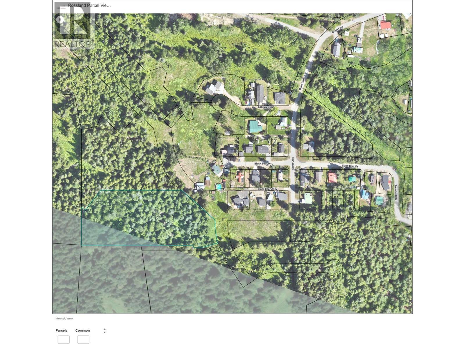 Deer Park Drive Lot# 21, Rossland, British Columbia  V0G 1Y0 - Photo 7 - 10374414