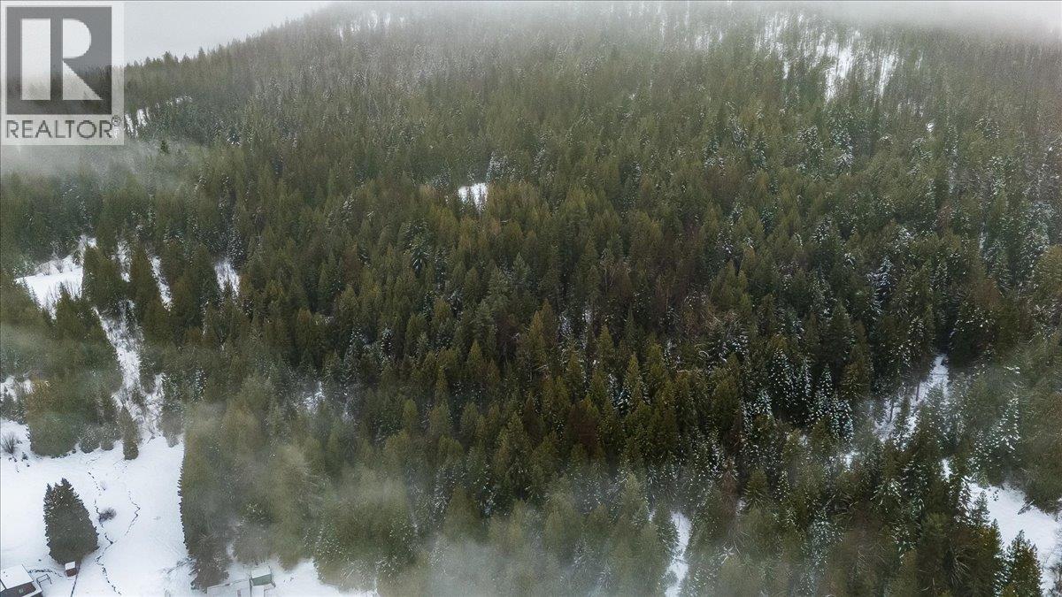 Deer Park Drive Lot# 21, Rossland, British Columbia  V0G 1Y0 - Photo 9 - 10374414