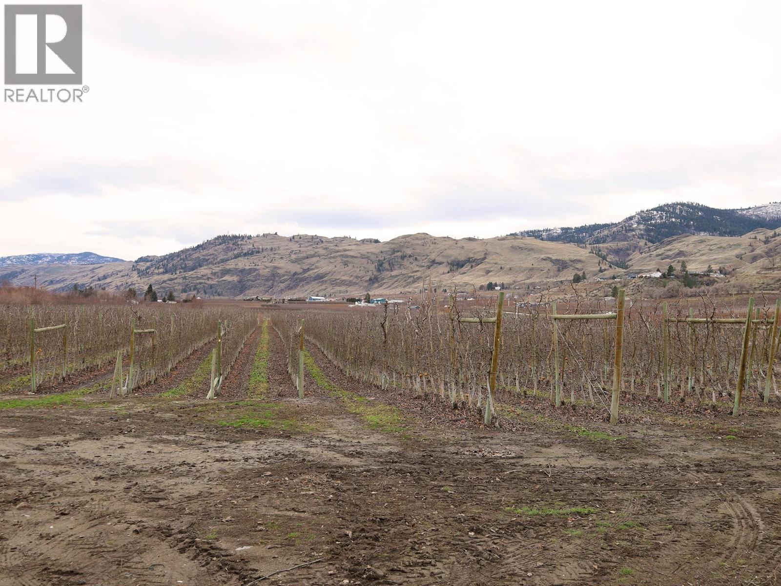 301 Road 12 Road, Oliver, British Columbia  V0H 1T1 - Photo 19 - 10373242