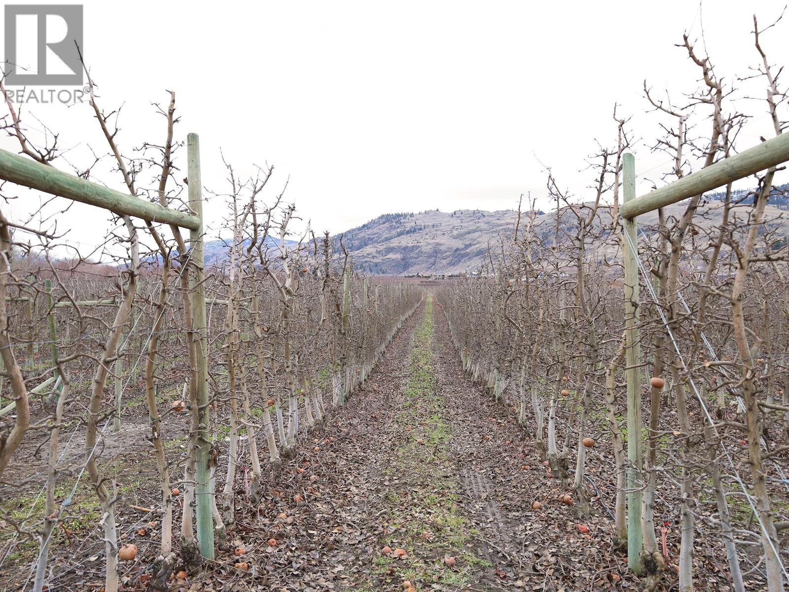 301 Road 12 Road, Oliver, British Columbia  V0H 1T1 - Photo 20 - 10373242