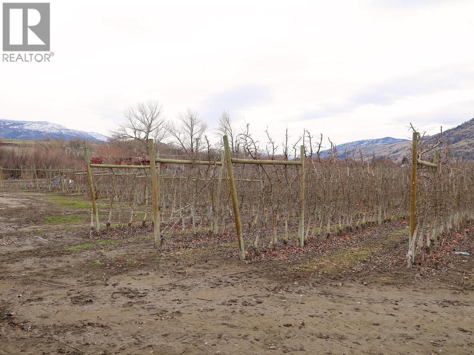 301 Road 12 Road, Oliver, British Columbia  V0H 1T1 - Photo 21 - 10373242