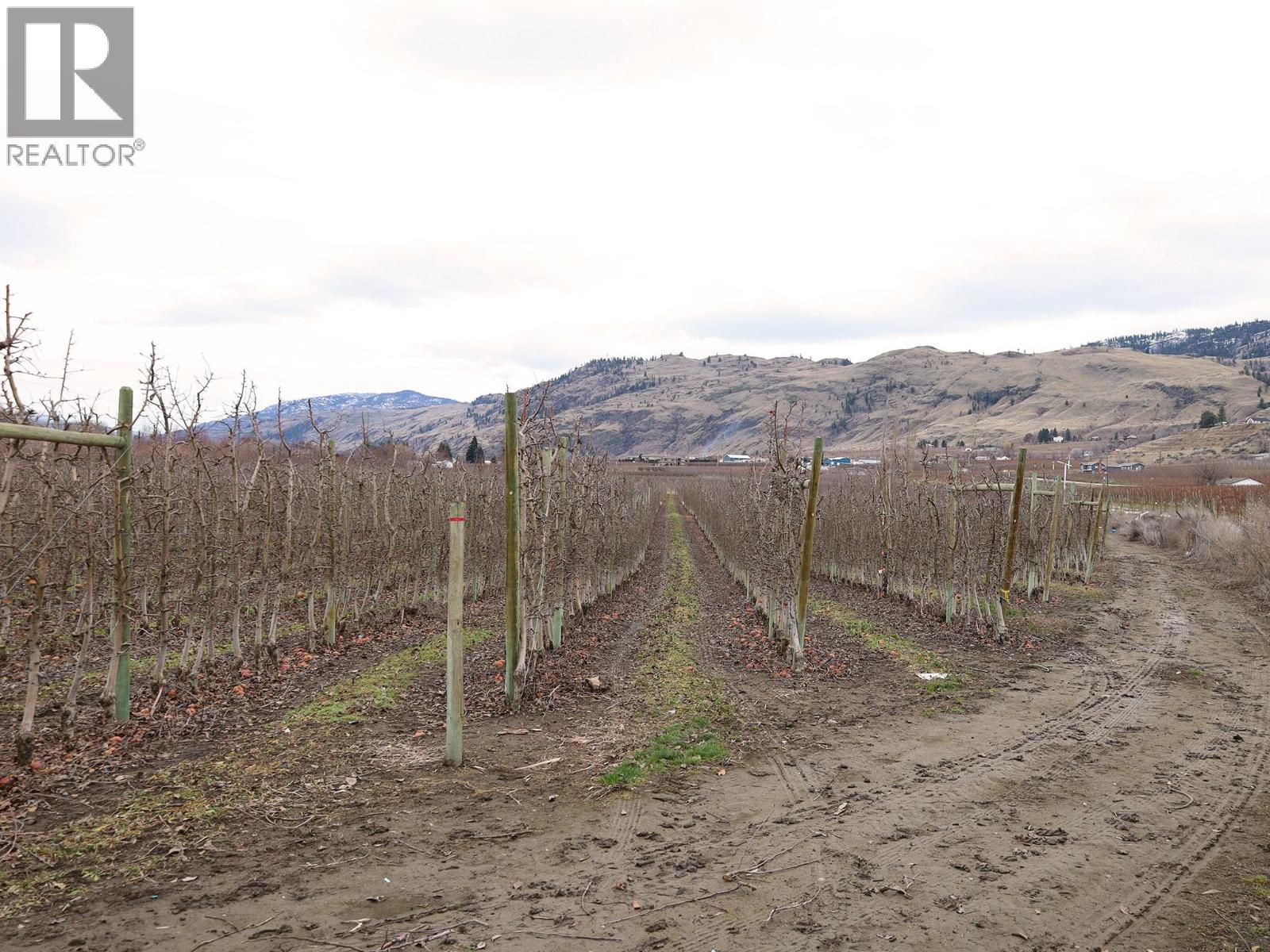 301 Road 12 Road, Oliver, British Columbia  V0H 1T1 - Photo 22 - 10373242