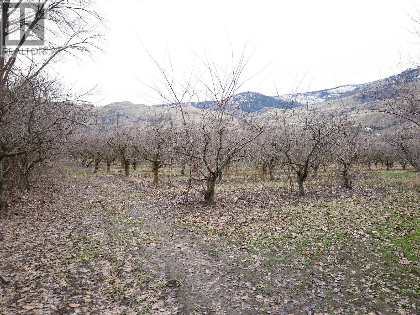 301 Road 12 Road, Oliver, British Columbia  V0H 1T1 - Photo 23 - 10373242