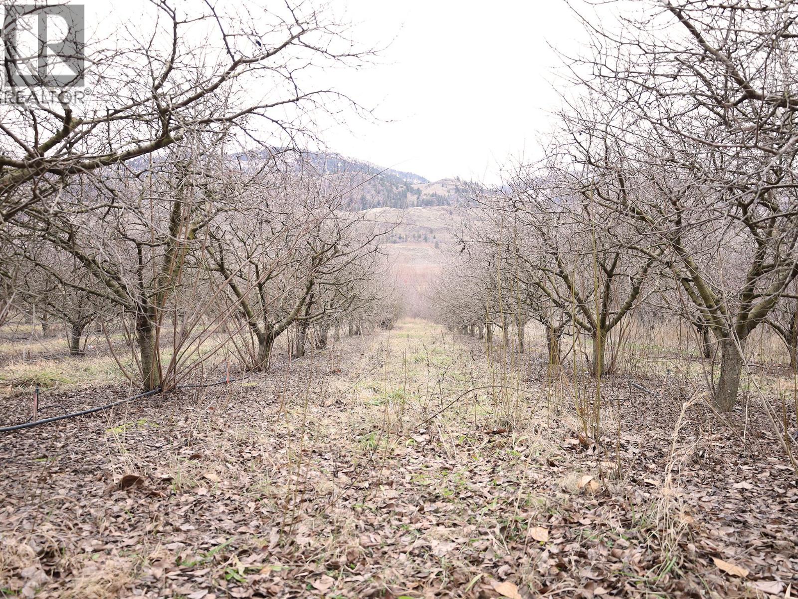 301 Road 12 Road, Oliver, British Columbia  V0H 1T1 - Photo 24 - 10373242