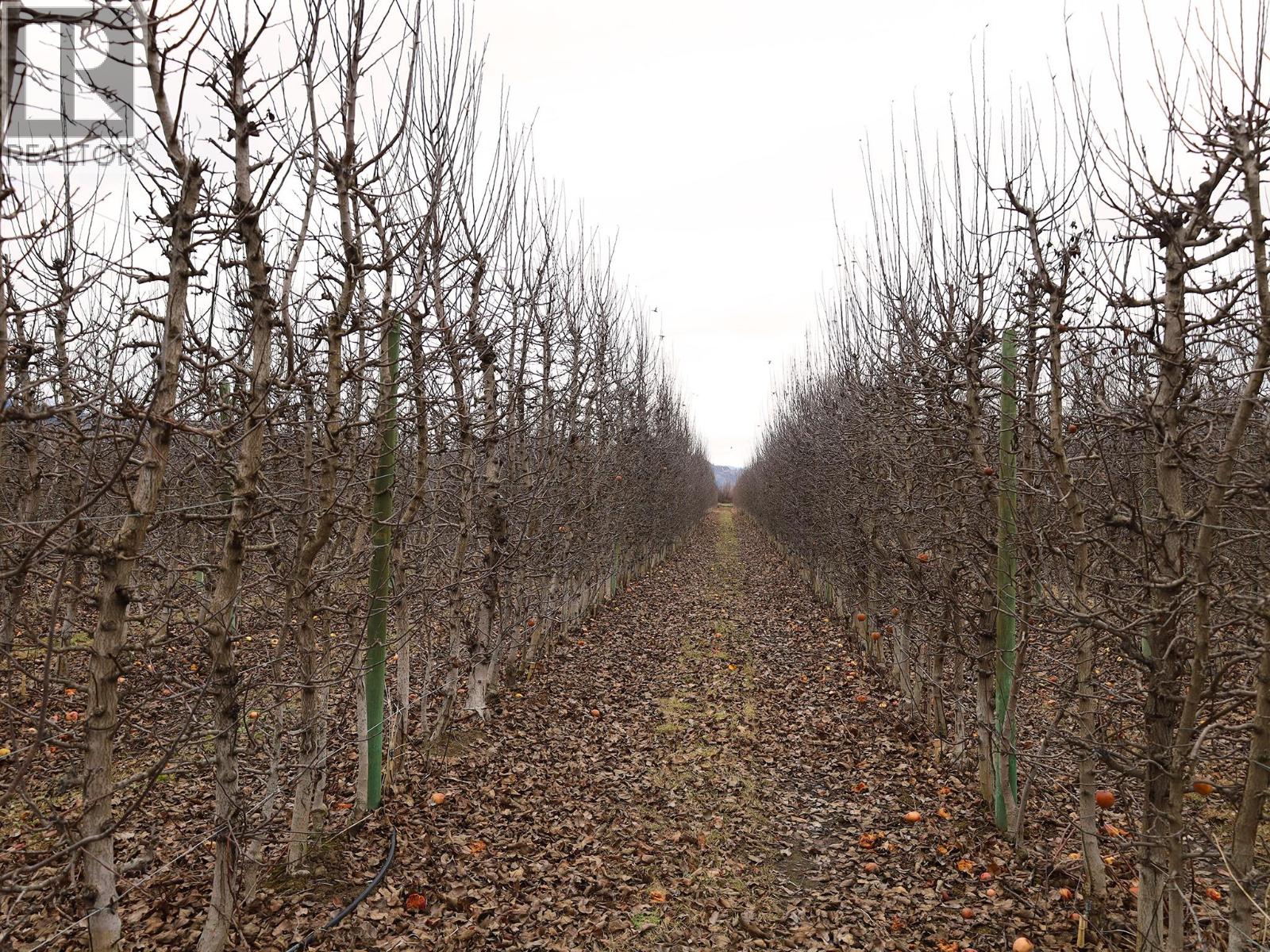 301 Road 12 Road, Oliver, British Columbia  V0H 1T1 - Photo 26 - 10373242