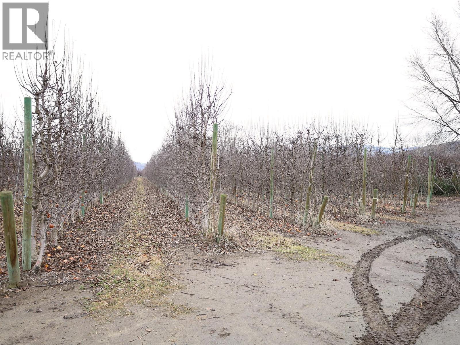 301 Road 12 Road, Oliver, British Columbia  V0H 1T1 - Photo 27 - 10373242