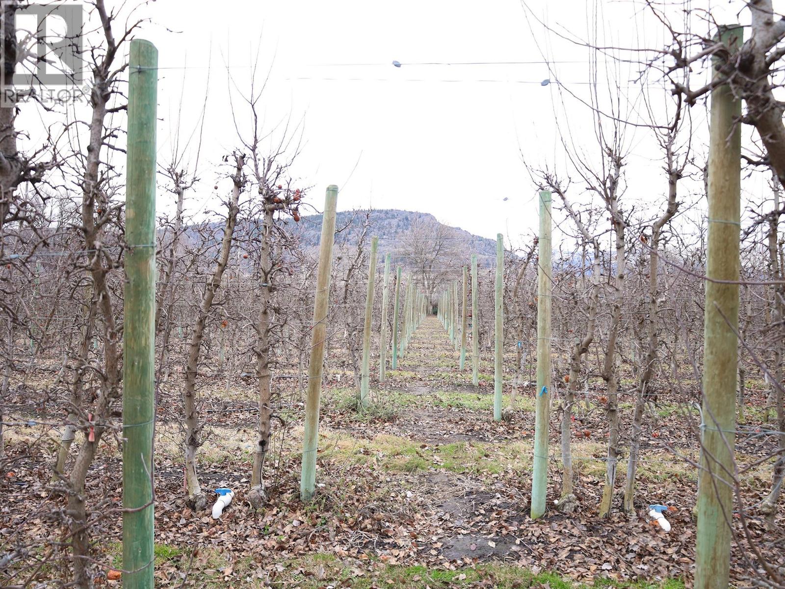 301 Road 12 Road, Oliver, British Columbia  V0H 1T1 - Photo 28 - 10373242