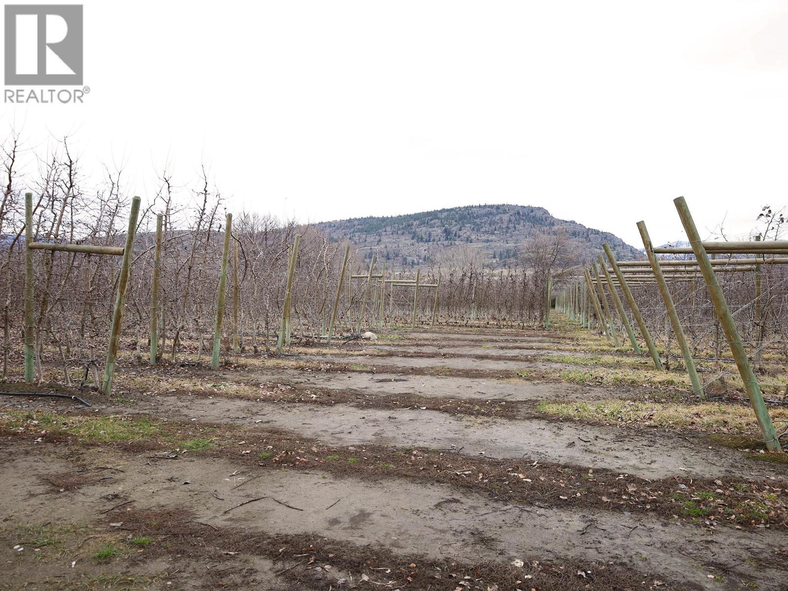 301 Road 12 Road, Oliver, British Columbia  V0H 1T1 - Photo 31 - 10373242