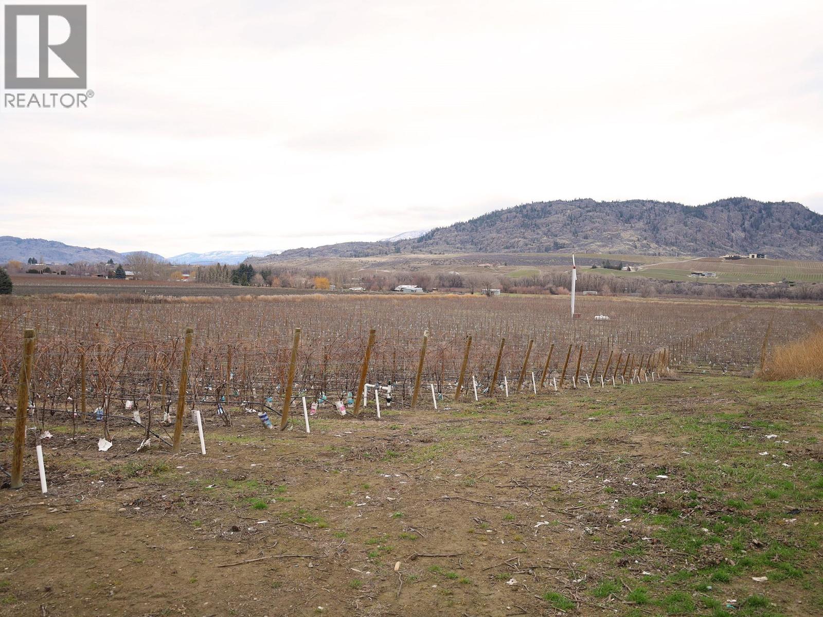 4253 Highway 97 Highway, Oliver, British Columbia  V0H 1T1 - Photo 23 - 10372304