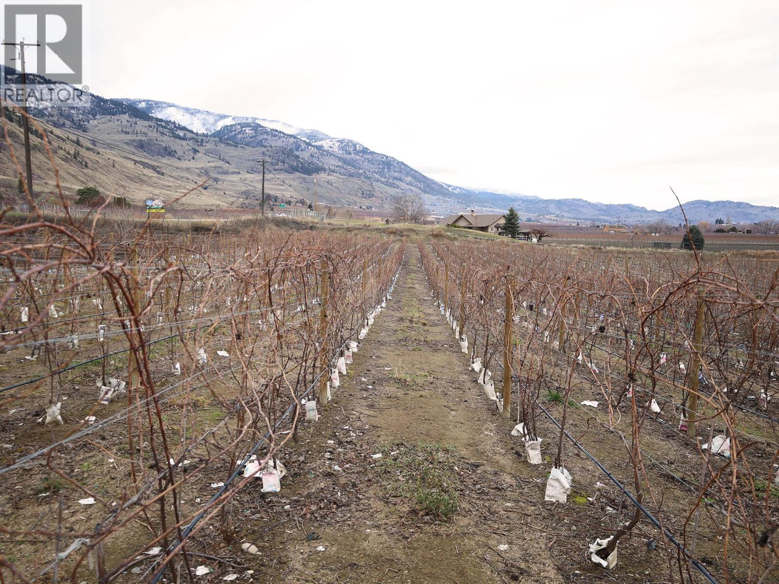 4253 Highway 97 Highway, Oliver, British Columbia  V0H 1T1 - Photo 24 - 10372304