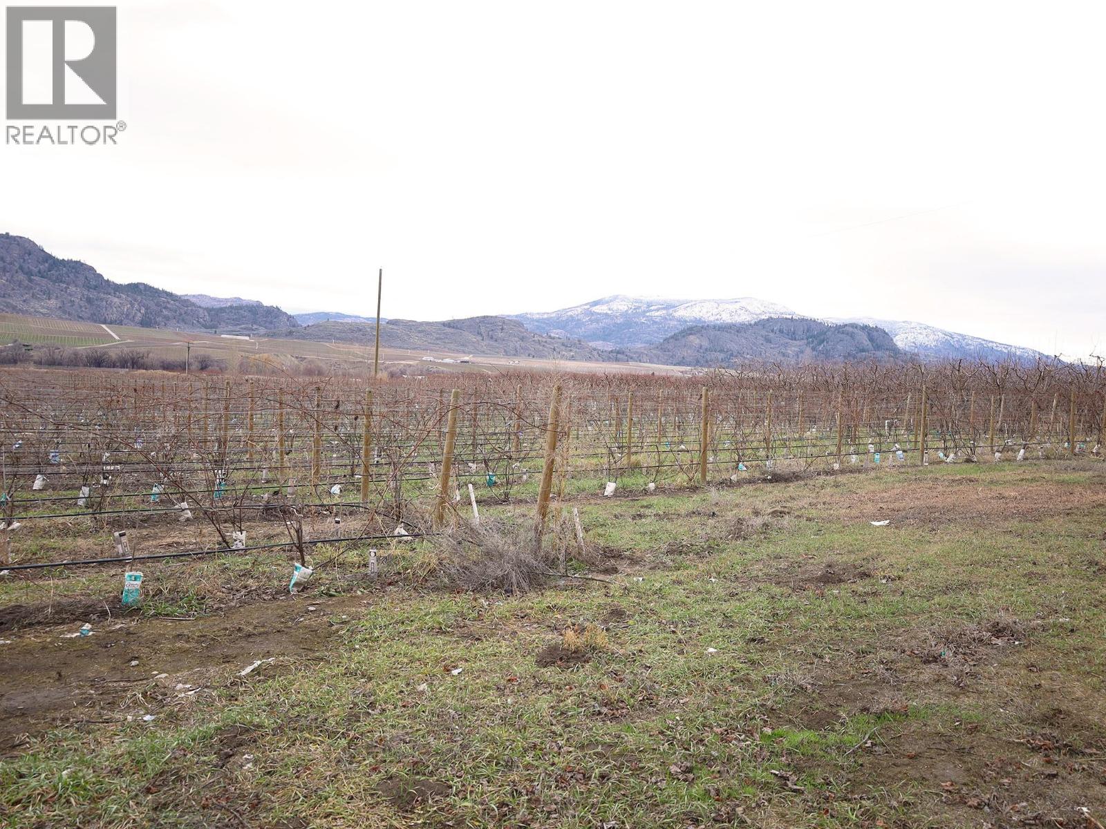 4253 Highway 97 Highway, Oliver, British Columbia  V0H 1T1 - Photo 26 - 10372304