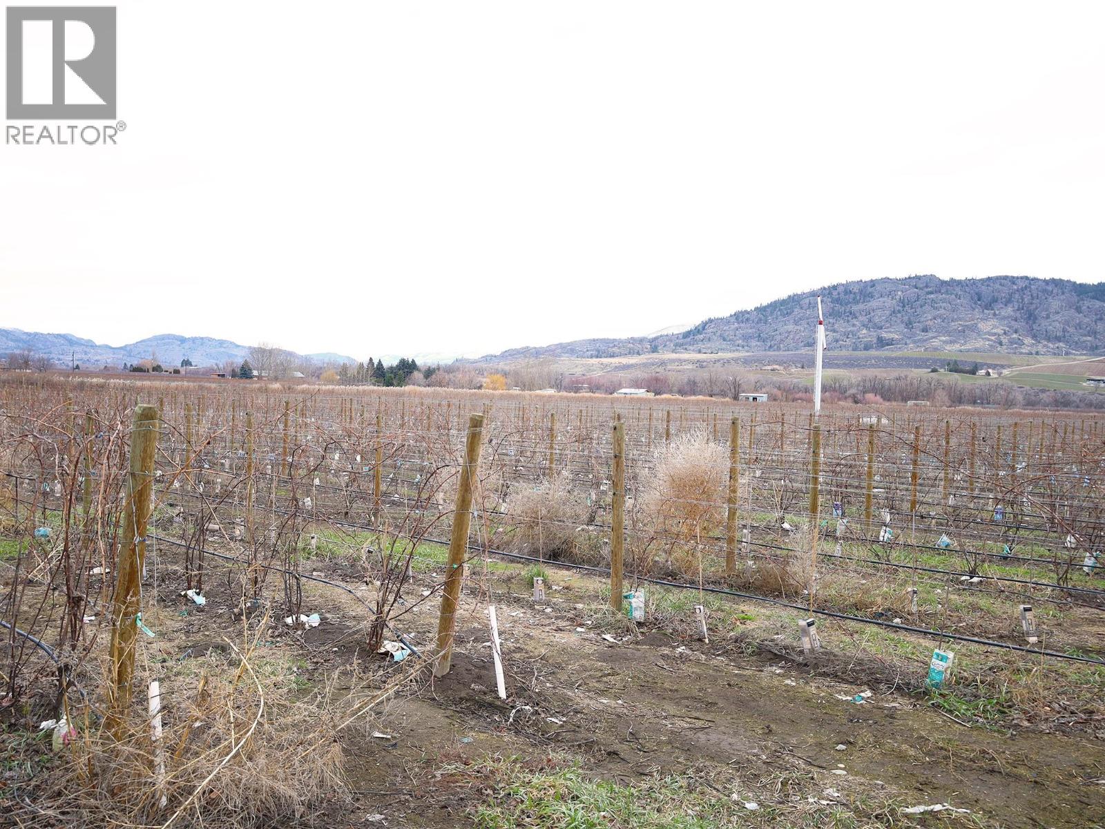 4253 Highway 97 Highway, Oliver, British Columbia  V0H 1T1 - Photo 27 - 10372304